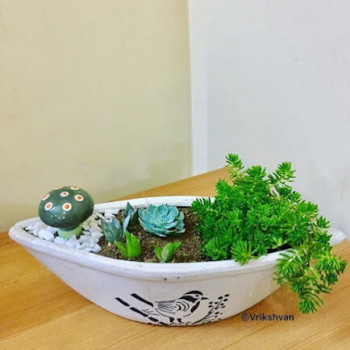 Our Products Image