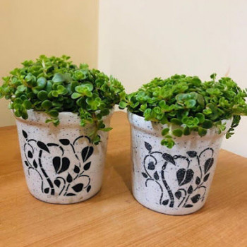 Our Products Image