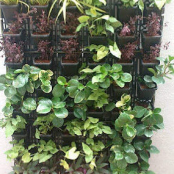 Our Products Image