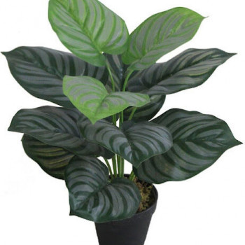 Our Products Image