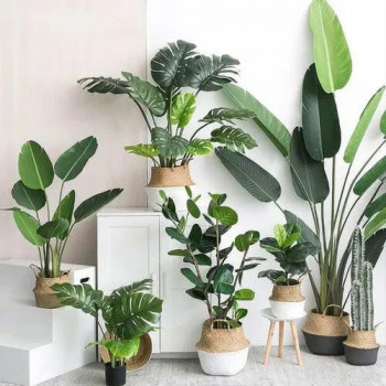 Our Products Image